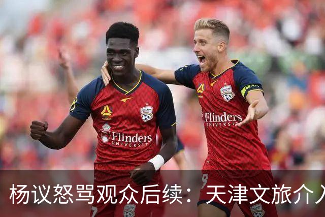 杨议怒骂观众后续：天津文旅介入核查，知情人发声，本人视频道歉